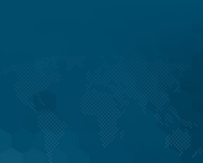 About Mansızlar Group